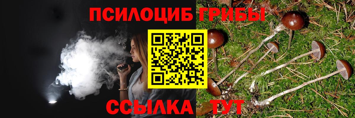 Галлюциногенные грибы ЛСД Отрадный