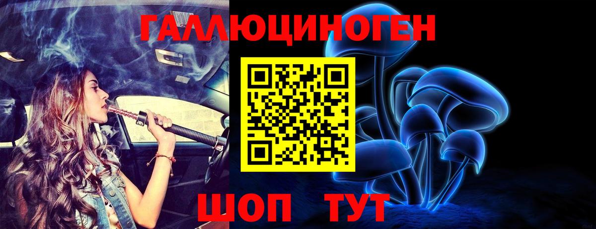 как найти закладки  Вход с VPN  Отрадный  Галлюциногенные грибы Magic Shrooms  Псилоцибиновые грибы MAGIC MUSHROOMS 